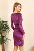 Women's Velvet Overlap Detail Dress - MWSD119