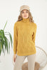 Women's Pattern Knitted High Neck Sweater by Memnu - MEWS634